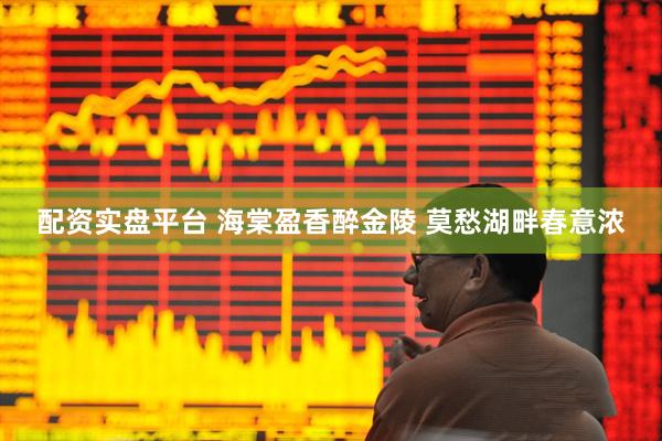 配资实盘平台 海棠盈香醉金陵 莫愁湖畔春意浓